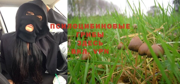 мяу мяу мука Алзамай